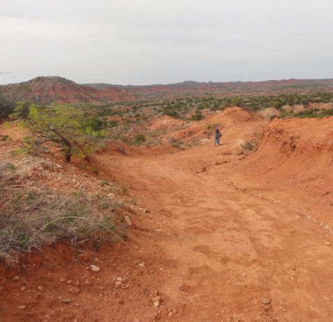 downhill bike trail eagle trail caprock canyon downhill bike trail eagle trail caprock canyon