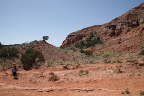 lighthouse trail palo duro 