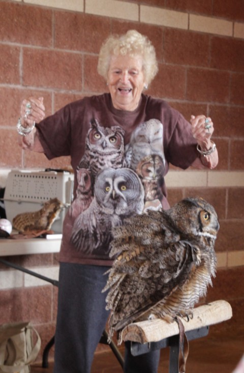 birds of prey caprock canyon tx birds of prey caprock canyon tx