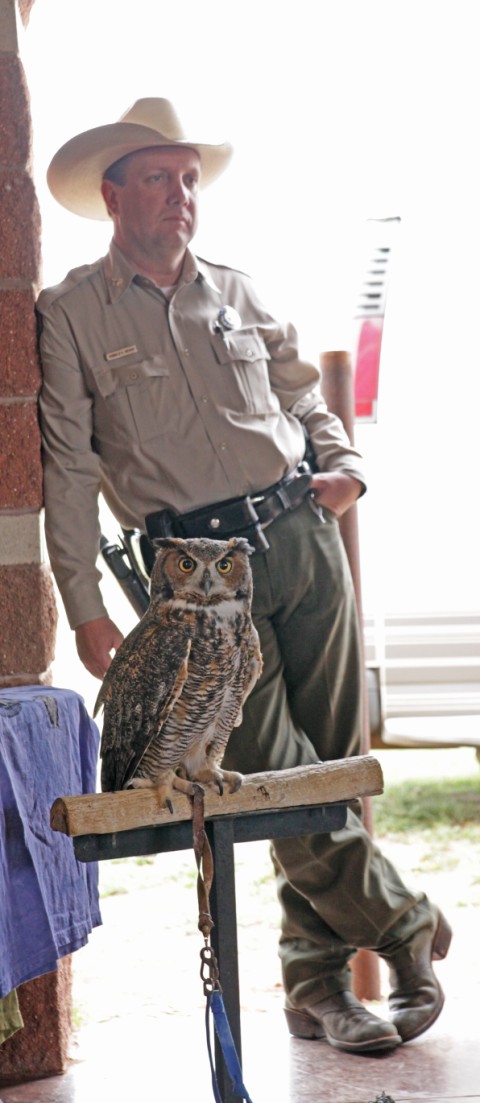 caprock canyon tx st park ranger manager owl bird of prey caprock canyon tx st park ranger manager owl bird of prey