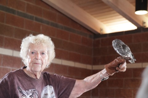 bird of prey lady caprock canyon tx bird of prey lady caprock canyon tx