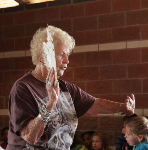 doris mager birds of prey raptor caprock canyons doris mager birds of prey raptor caprock canyons