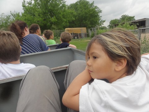 train ride at kiddie acres train ride at kiddie acres