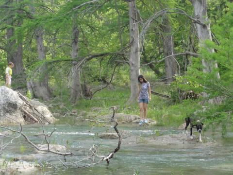 eichler the boxer explores the blanco river 2012 eichler the boxer explores the blanco river 2012