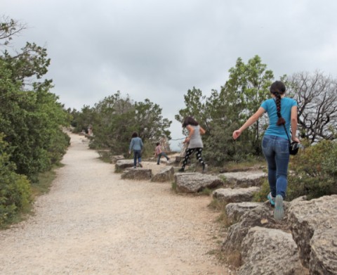 mountain goat instinct