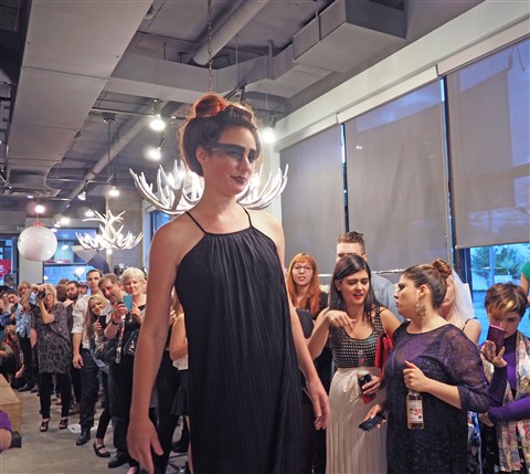 red stella and a flock of seagulls 