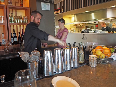 FINO ice crusher austin