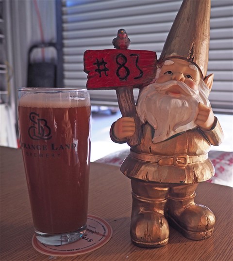disco gnome at strange land brewing westlake austin