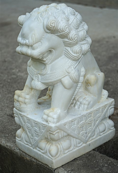 Austin Mod House Foo Lions westlake 