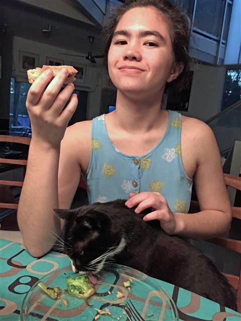 kay-so the cat licks brussels sprouts at the table