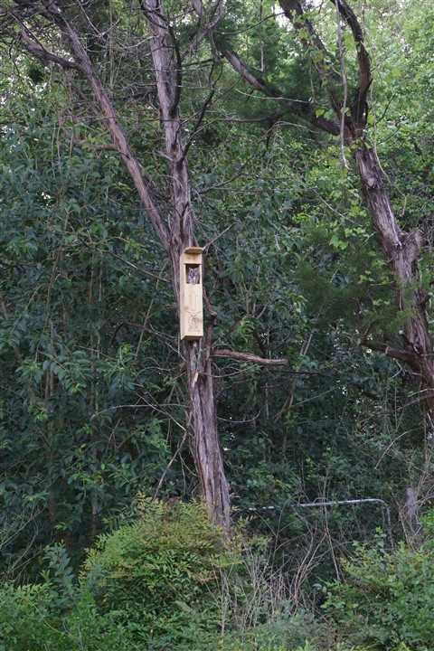 owl reach owl box west lake hills tx
