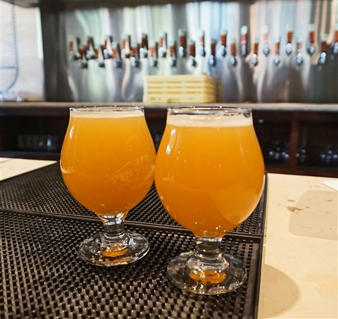 NE IPA Pinthouse Pizza Austin TX lupulin powder mosaic citra
