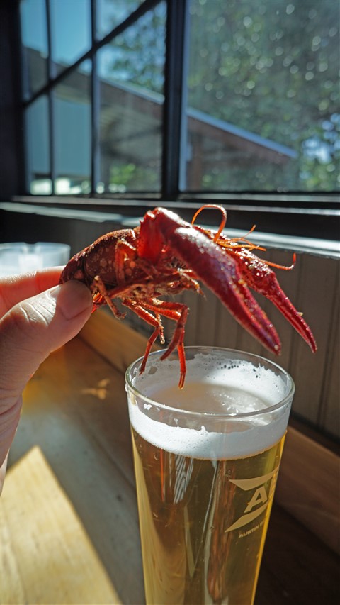 abgb crawfish boil 2018