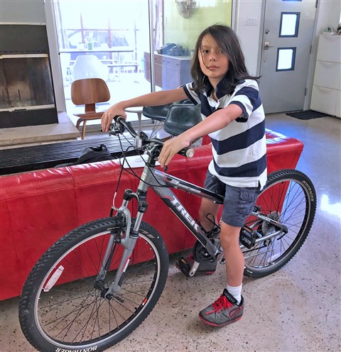 new bike trek 3 series