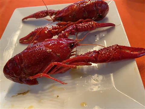 asian crawfish 