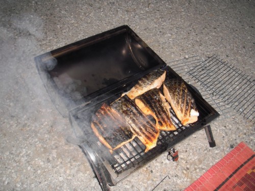 salmon on the grill
