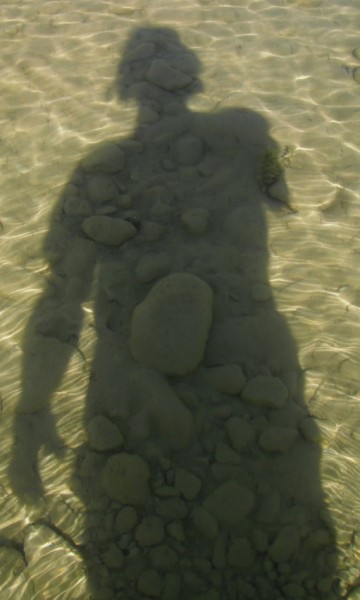 shadow of the narrarator