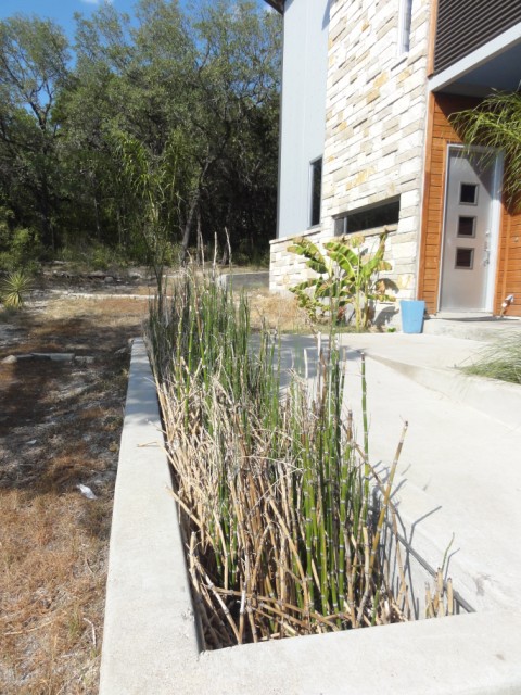 drought of 2011 austin texas