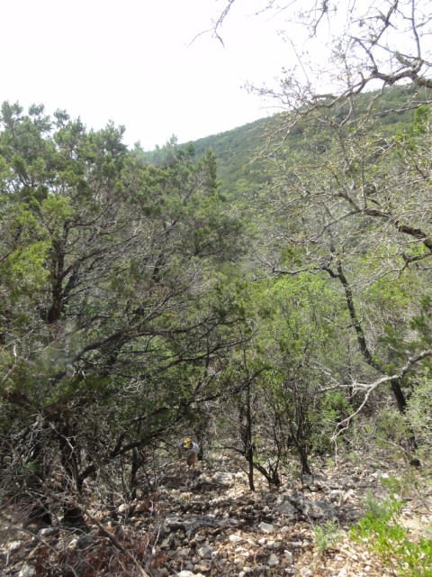 trash pick up at garner state park by volunteer
