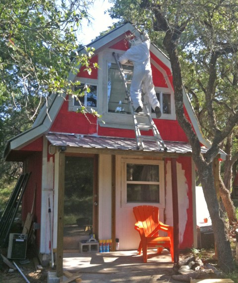 wasp removal service wasp removal service
