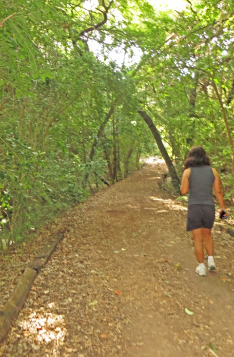 the hills club westlake jogging trail