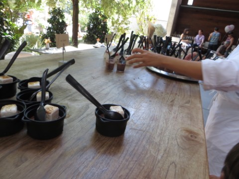 janina o'leary executive pastry chef trace austin w hotel ice cream social