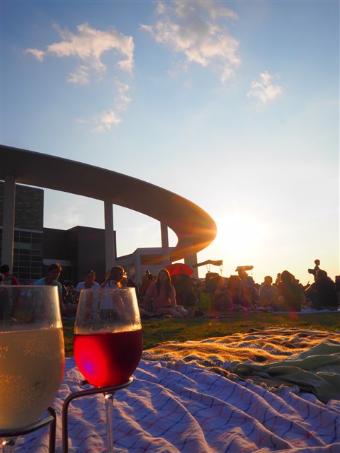 long center sunset symphony summer picnic