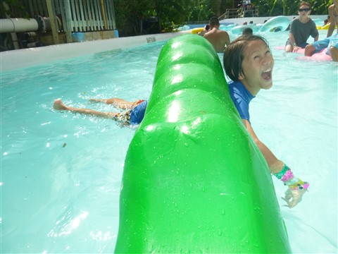 schlitterbahn new braunfels lazy crystal river alligator 