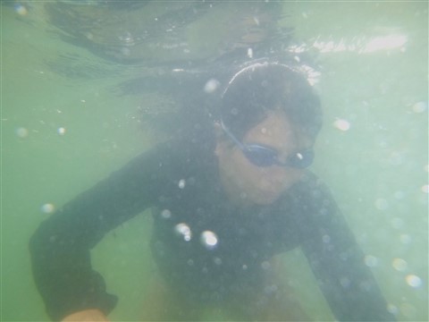 south padre island mermaid kat