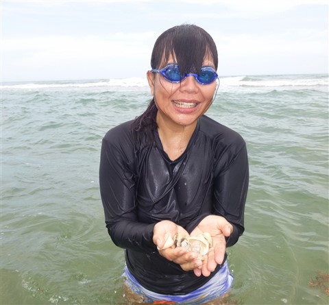 south padre island shell collection