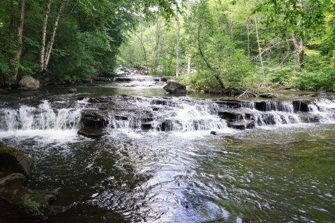 Joe's Brook West Danville Vermont VT