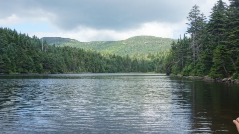 Sterling Pond, Vermont 