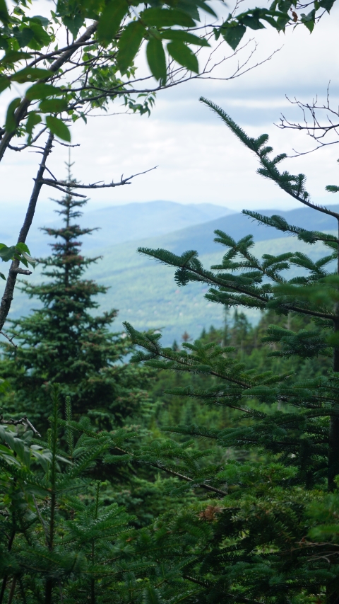 sterling pond trail view, stowe vt