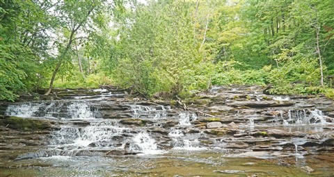 joe's brook