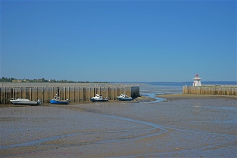 bay of fundy boats in mud