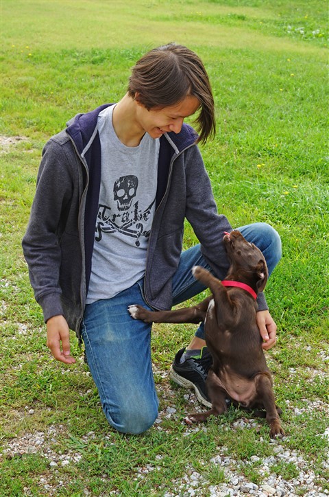 farm puppy melts grumpiness