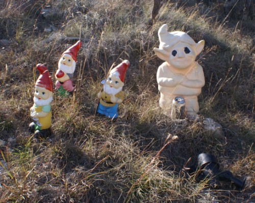 sun bleached gnome gathering