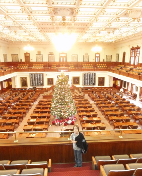 texas house of representatives christmas tree