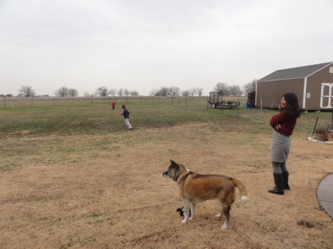 godley texas back yard godley texas back yard