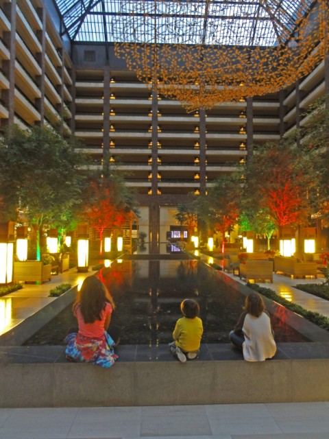 kinetic sculpture and reflecting pool in an atrium section of the anatole kinetic sculpture and reflecting pool in an atrium section of the anatole