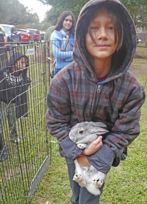 westlake petting zoo