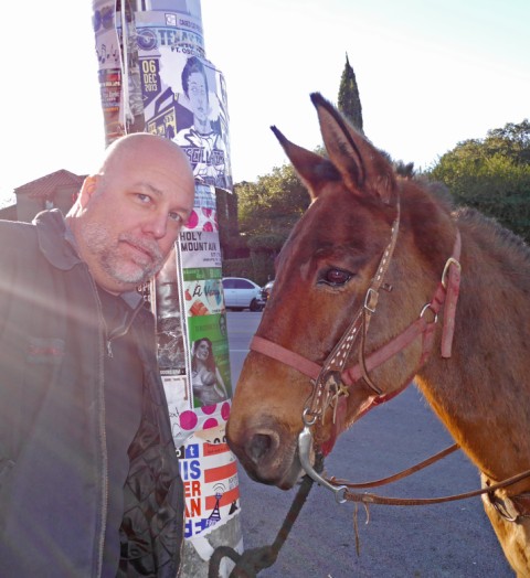 ass on south congress soco austin 78704