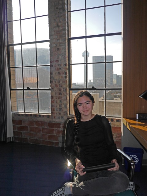 downtown view from aloft dallas