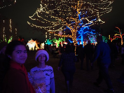 zilker park austin trail of lights 2014