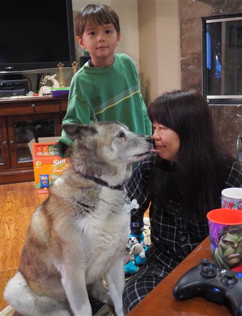 akita kiss