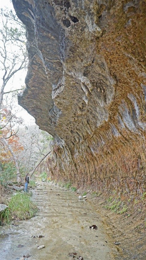 lost maples dec 2015