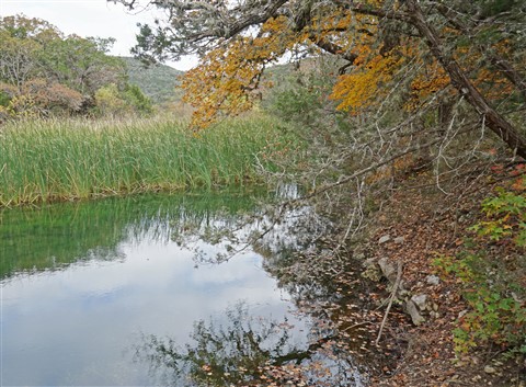 lost maples state park fall colors 2015 dec