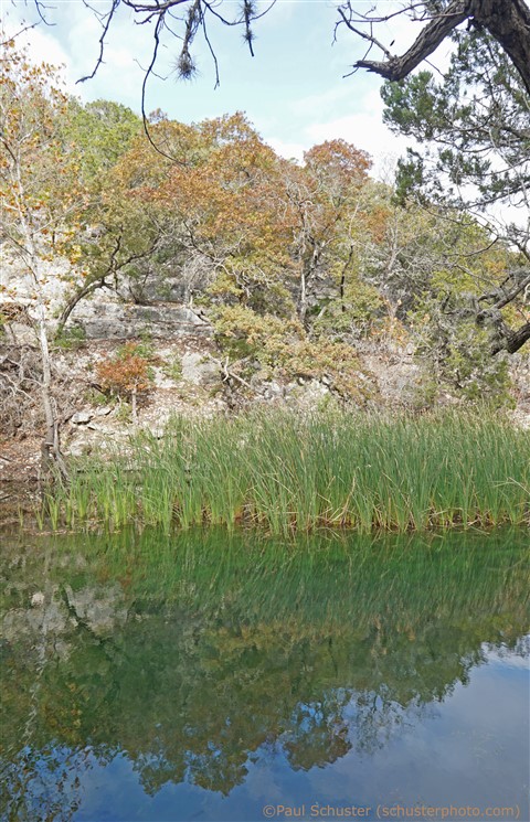lost maples state park texas fall 2015 colors december