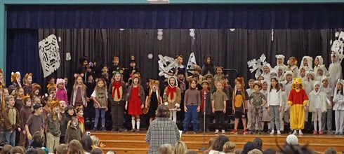 merry beary christmas