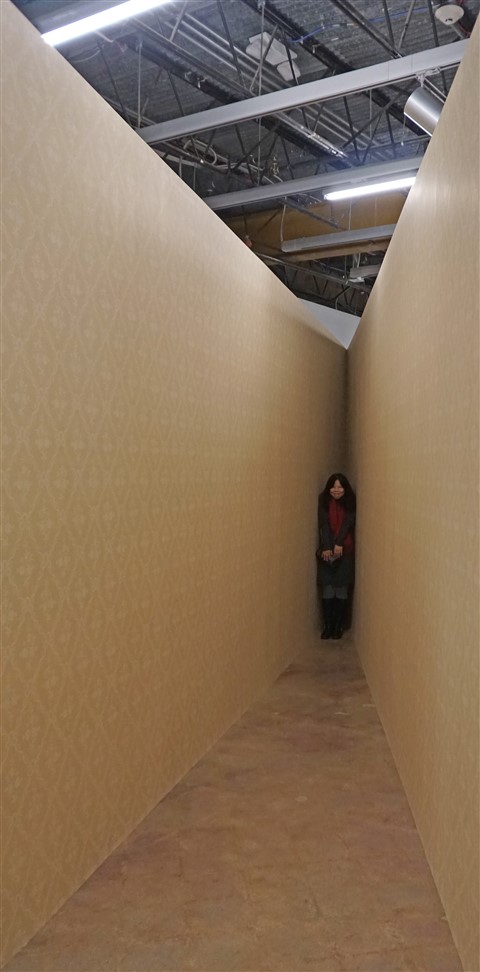 austin contemporary Monika Sosnowska 